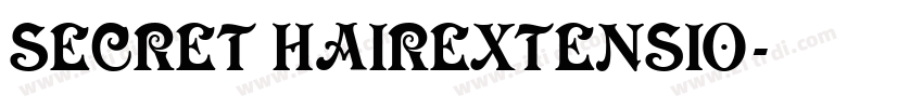 SECRET HAIREXTENSIO字体转换